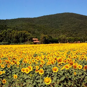 agriturismo-valborgina.it-tuscanyhotel.com/